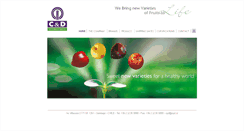 Desktop Screenshot of cyd.cl
