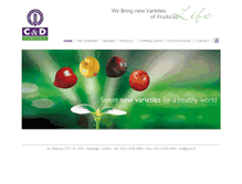 Tablet Screenshot of cyd.cl